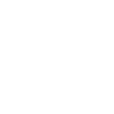 Brixia Special Club